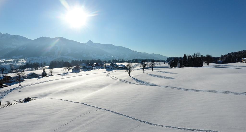 Apartment Findeisen Ramsau am Dachstein